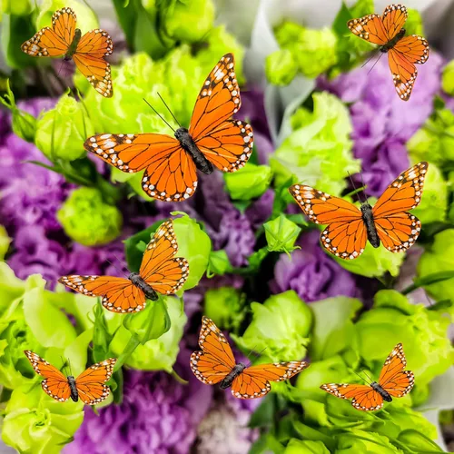Vista 3 de YCHTEWY - Decoración de mariposa monarca, juego de 12 decoraciones de mariposa de plumas con clip, 3.75", naranja..