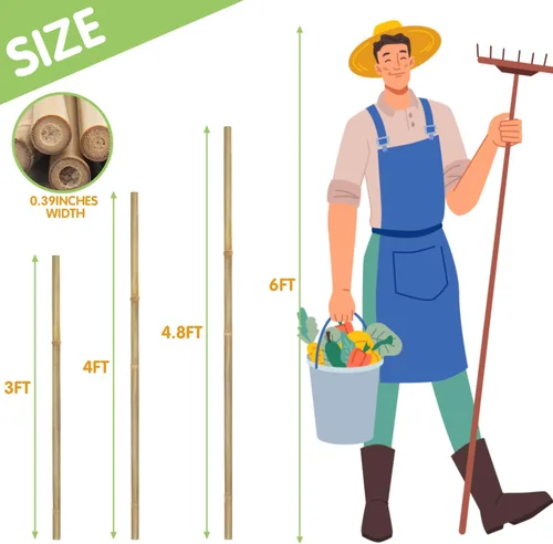 Vista 2 de Estacas para plantas, estacas de bambú natural resistentes de 4 pies de largo, GAGINANG 25 piezas de varillas de bambú de soporte de enrejado