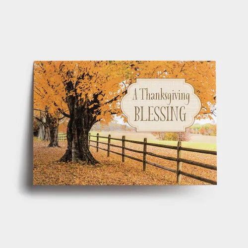Vista 3 de DaySpring - Bendiciones de Acción de Gracias - Surtido de 8 diseños de otoño con Escritura - 24 tarjetas y sobres en caja de Acción de Gracias