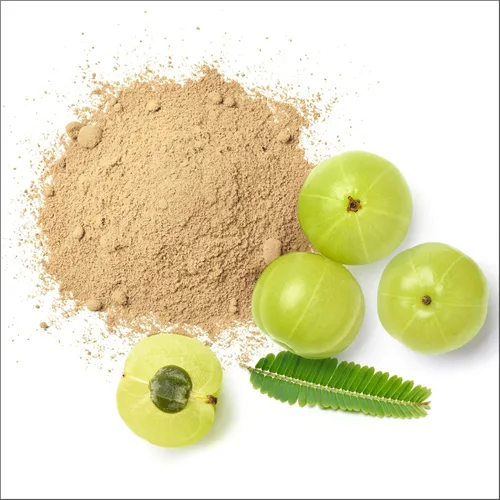 Vista 7 de Organic Zing Amla Powder - 227 g / 8 oz - Grado alimenticio - Polvo puro de grosella espinosa india para nutrición diaria y uso culinario