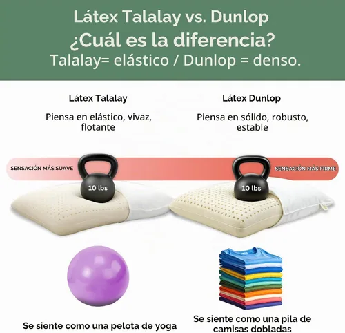 Vista 5 de All Natural almohada de látex con cubierta de algodón orgánico
