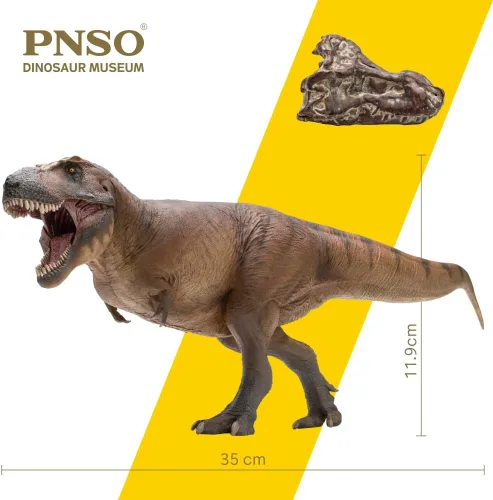 Vista 4 de Serie de Museos de Dinosaurios PNSO: Cameron el Tiranosaurio Rex T. Rex Exhibit Set de 13.8" - Modelo de fósil de calavera - Mandíbula de apertura