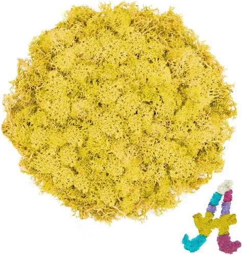 Vista 30 de Musgo de reno azul de 3.5 onzas, musgo preservado para plantas, decoración de musgo, musgo verde para manualidades, musgo para plantas en maceta