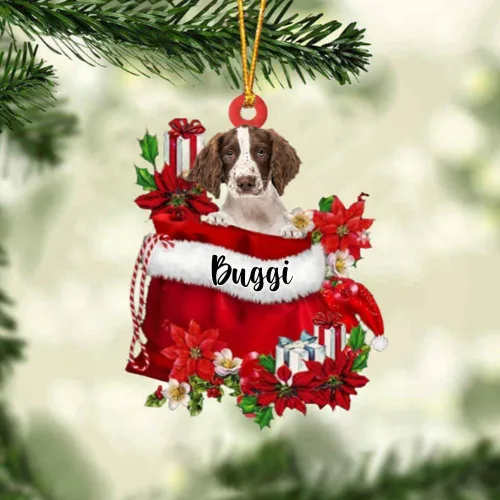 Vista 195 de Perro Akita Inu personalizado en bolsa de regalo, adorno de Navidad, nombre personalizado, regalo para amantes de los perros, familia, Navidad
