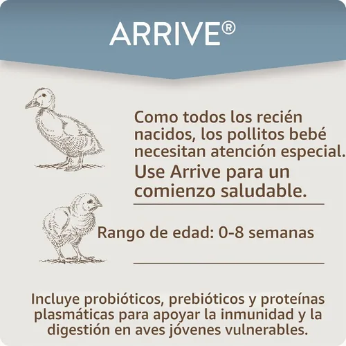 Vista 4 de FlockLeader Arrive, Suplemento diario de aves de corral para pollitos bebés de 0 a 8 semanas, 8 onzas