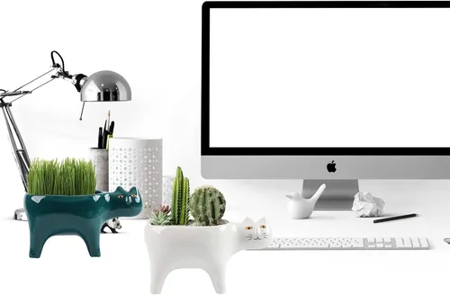 Vista 2 de DIYOMR Macetero de animales para suculentas, macetas de cerámica para gatos, contenedores de cactus o plantas para decoración del hogar, oficina