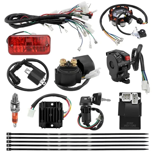 Vista 10 de PRO BAT Complete Electrics - Kit de arnés de cableado de 4 tiempos, 8 bobinas, estator CDI, luz trasera para 150 cc, 200 cc, 250 cc, 300 cc, 4