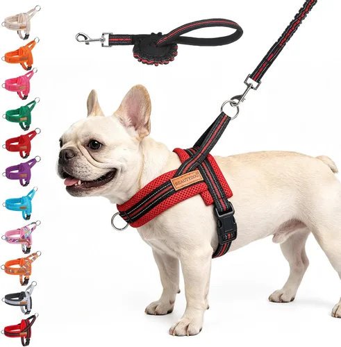 Vista 61 de BEAUTYZOO Arnés para Perros Pequeños, Juego de Arnés y Correa sin Tirones, Arnés de Pecho para Cachorros a Prueba de Escapes con Mango, Arnés Beige