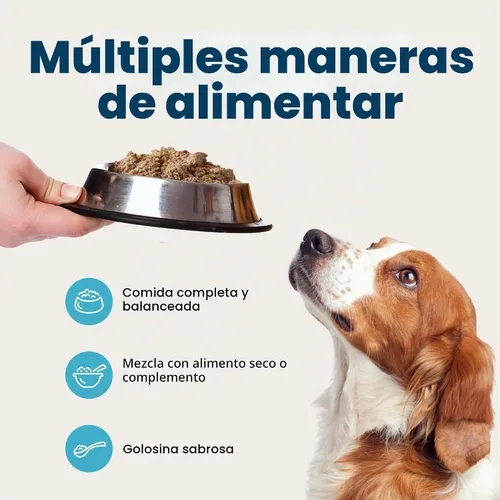 Vista 8 de Blue Buffalo Receta de homestyle Natural Adulto Mojo Mojo de alimentos, Pollo 12.5-Oz Poder (Pack de 12) Cena de pollo con verduras de jardín, sin