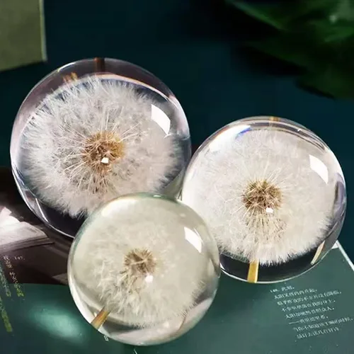 Vista 7 de DESHINTKE Bola de espécimen de diente de león real, pisapapeles, decoración de escritorio (pequeña)