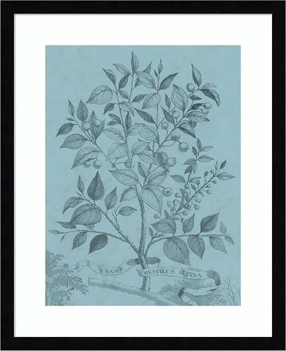Vista 10 de Amanti Art Vision Studio - Póster enmarcado de 24 x 20 pulgadas, diseño botánico en V verde azulado por Vision Studio, arte de pared de naturaleza