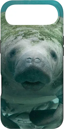 Vista 27 de Manatee Case for iPhone 17