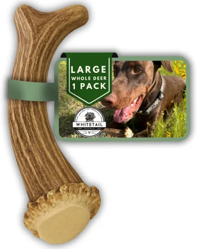 Vista 12 de WhiteTail Naturals - Cuernos de ciervo para perros pequeños (paquete de 12) cuernos masticables naturales para cachorros y pequeños masticadores