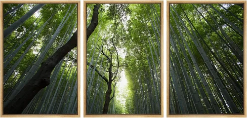 Vista 78 de wall26 Lienzo enmarcado para pared, juego de arte debajo de los tallos de bambú verde, naturaleza, desierto, fotografía, realismo, contemporáneo