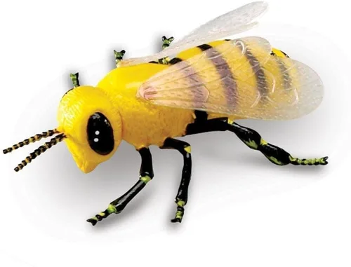 Vista 7 de Learning Resources Insectos jumbo, juguetes de animales para niños, ciencia preescolar infantil, habilidades motoras finas, regalos para niños