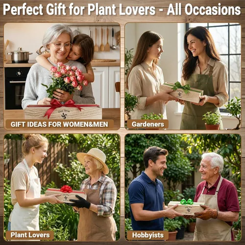 Vista 7 de Bonsai Tree Starter Kit for Beginners 5 Unique Indoor Plants