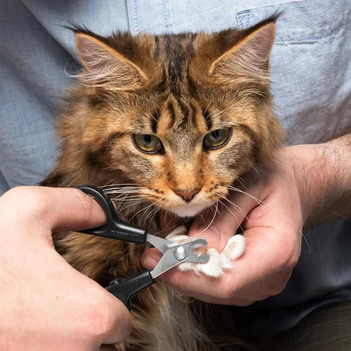 Vista 4 de Tweezerman Cortaúñas XS para mascotas - Cortador de uñas profesional manual