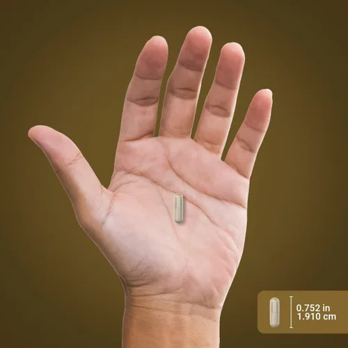 Vista 7 de Piping Rock Pygeum 100 mg 240 cápsulas Suplemento para hombres y mujeres Extracto de corteza de Pygeum Africanum Fitoesteroles ultra