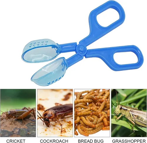 Vista 5 de Herramienta de limpieza azul de alimentación de reptiles, herramienta de alimentación de anfibios, terrario, araña, grillo, abrazadera, 1 ud