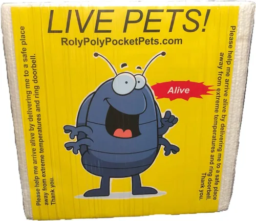 Vista 5 de HippoPolyus vivos (insectos vivos) Para llevar en el bolsillo como mascota (en una caja apta)