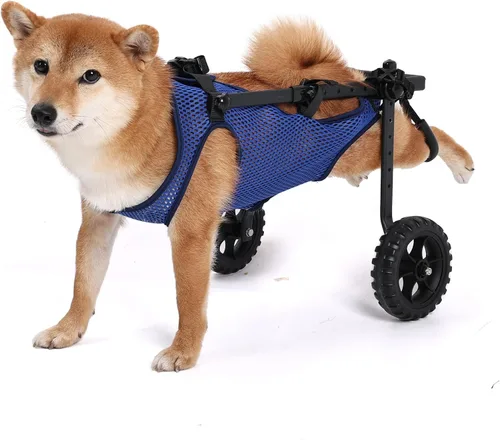 Vista 8 de Silla de ruedas para perros para patas traseras, carrito de silla de ruedas para perros, sillas de ruedas para perrito/gato con patas traseras