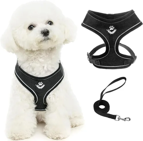 Vista 45 de PUPTECK Juego de arnés y correa de malla suave para perro, cachorro y gato, cómodo chaleco acolchado sin tirones, azul Pascua, S