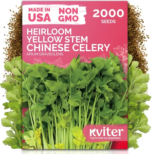Vista 28 de KVITER 250 Marketmore - 76 semillas de pepino (Cucumis Sativus) – Rebanar semillas de pepino, sabor dulce, paquetes de semillas sin OMG – Semillas