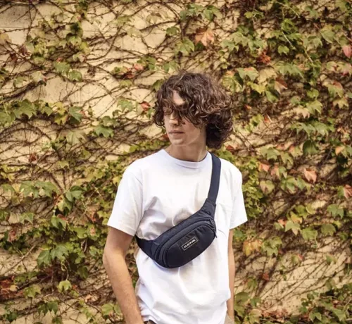 Vista 4 de Dakine Hip Pack