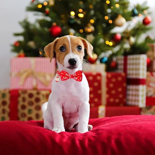 Vista 2 de ADOGGYGO Collares de Navidad para Perros con Corbatín, Collar Ajustable de Navidad para Mascotas con Corbatín Rojo Verde, Collares de Navidad