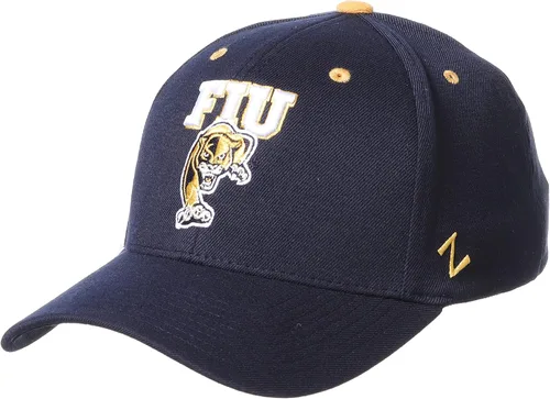 Vista 84 de ZHATS - Sombrero ajustado elástico para hombre de la NCAA, color del