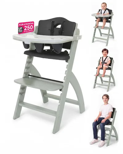 Vista 9 de Abiie Beyond Junior Convertible Wooden High Chair with Removable Tray Cojín de madera gris brumosa - Perla negra