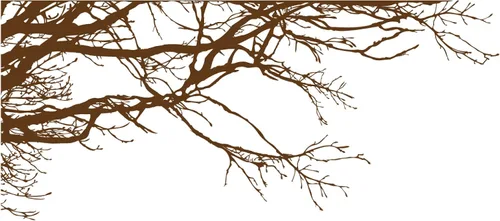 Vista 5 de Adhesivo decorativo para pared de árbol grande, ramas negras semi-brillantes, (21 x 50 pulgadas) de izquierda a derecha. Extraíble, no necesita