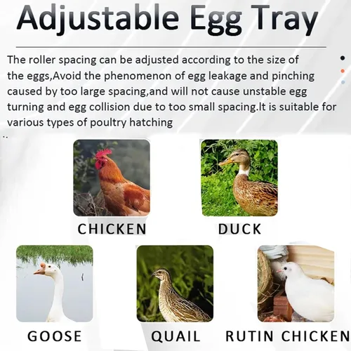 Vista 7 de Eggs Automatic Egg Incubator,Egg Incubator with Automatic Egg Turning, Humidity Control, Temperature Control, Incubators for Hatching Chicken, Duck