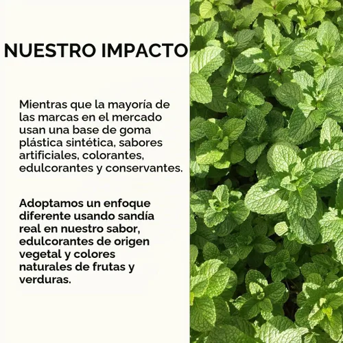 Vista 7 de Refresh Gum Garden Mint, goma de mascar de xilitol natural sin azúcar
