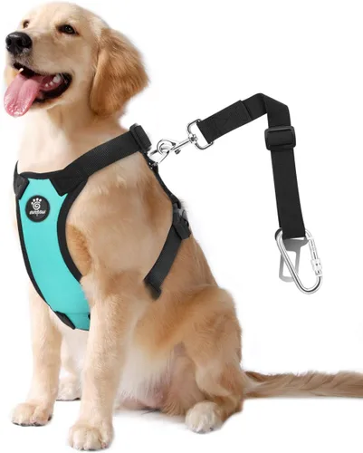 Vista 9 de VavoPaw cinturón de seguridad para perro, arnés de coche con hebilla ajustable para perro, cinturón de seguridad de nailon para mascotas, resistente