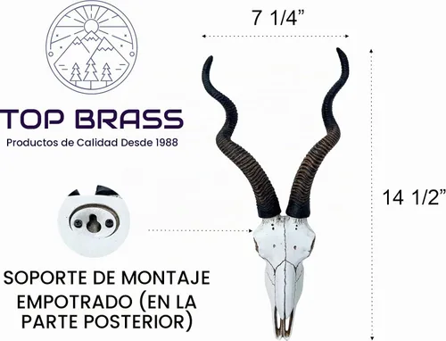 Vista 2 de Top Brass Calavera de antílope Kudu africano de 14 1/2 pulgadas, cabeza de montaje en pared, decoración rústica de safari