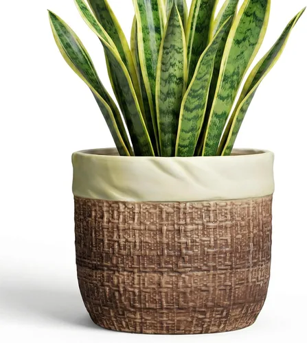Vista 36 de Macetas de cerámica para plantas, maceta de 6 pulgadas para plantas suculentas de interior, macetas redondas con orificio de drenaje, macetas Azul