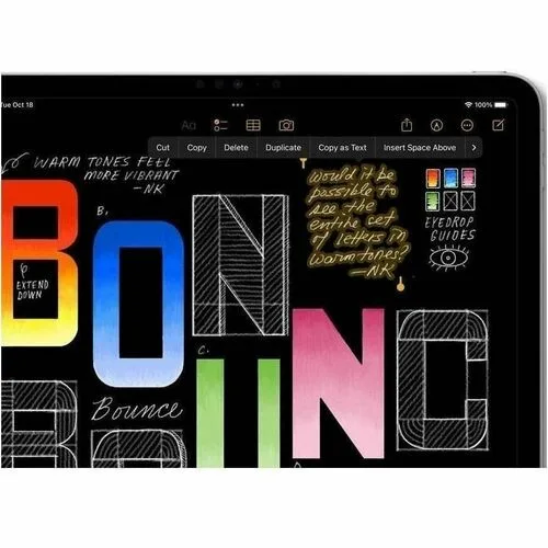 Vista 23 de IPAD WIFI 256GB SLV-CLA