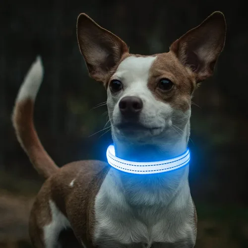 Vista 7 de Collar de perro iluminado para perros pequeños, collar de perro con luces LED recargables de seguridad, totalmente ajustable, que brilla