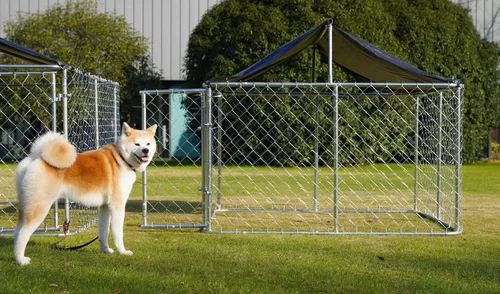 Vista 4 de Petony Perrera para perros al aire libre, valla ideal para perros medianos y pequeños, jaula de revestimiento antioxidante con techo, resistente a