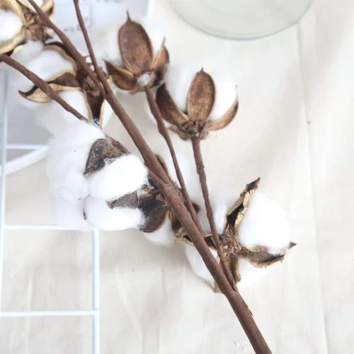 Vista 8 de Tallos de algodón seco natural para jarrón, ramo de primavera y verano de 17 pulgadas, decoración del hogar o ramos de boda de bricolaje, 10 ramitas