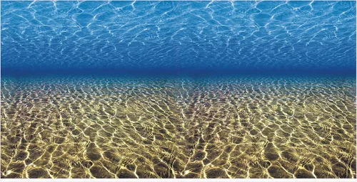 Vista 3 de Fondo de acuario Océano Fondos marinos/Coral Arrecife Doble lados (48WX24H)