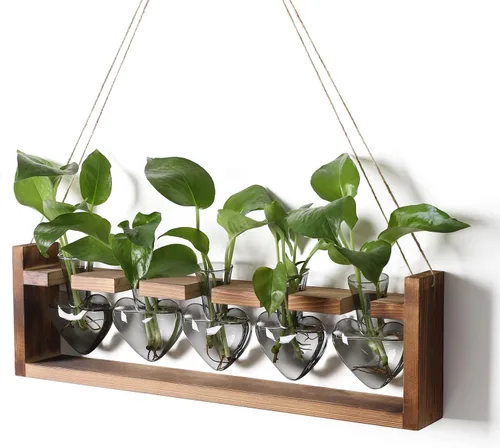 Vista 7 de Estaciones de propagación colgantes de terrario para plantas, regalo para mujeres, soporte para plantas de aire con soporte de madera, cristal