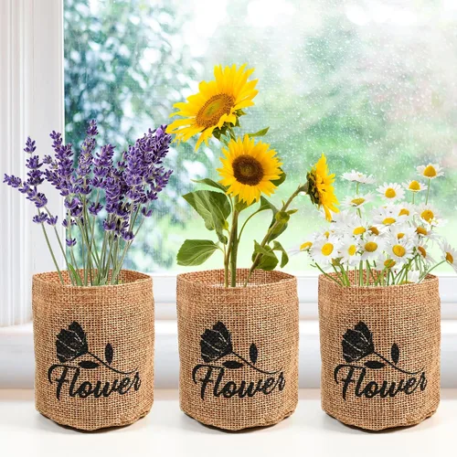 Vista 4 de Meekear Kit de 5 – Creciendo en margarita Shasta, aciano, girasol, zinnia, lavanda para interiores y exteriores, jardín, regalos de bricolaje