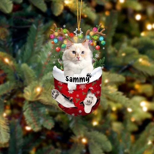 Vista 42 de Adorno personalizado de gato de rizo americano, adorno personalizado con nombre de mascota, colgante acrílico plano impreso en 2D, Papá Noel y gato