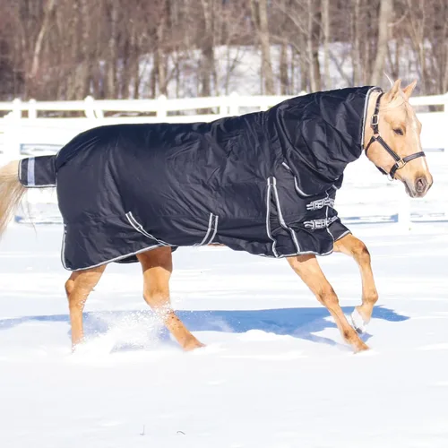Vista 6 de Manta de participación clásica II para caballo Cubierta de cuello adjunta Cinturón cruzado Manta de invierno impermeable para caballo