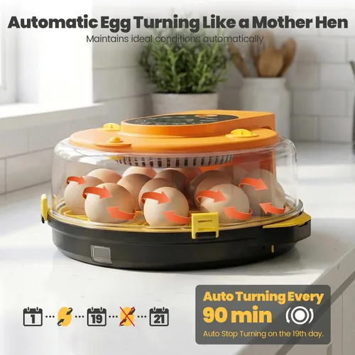 Vista 6 de Incubadoras para incubar huevos - Incubadora automática de pollitos de huevos de 15 huevos con 5 modos preestablecidos inteligentes y control