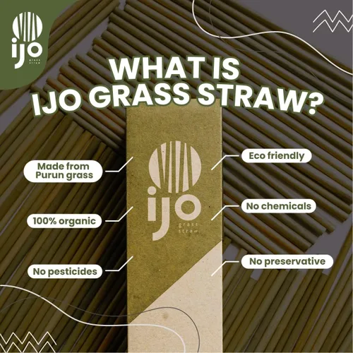 Vista 3 de IJO - Pajitas de césped 100% naturales, biodegradables, compostables, libres de plástico, pajitas ecológicas, paquete de 100