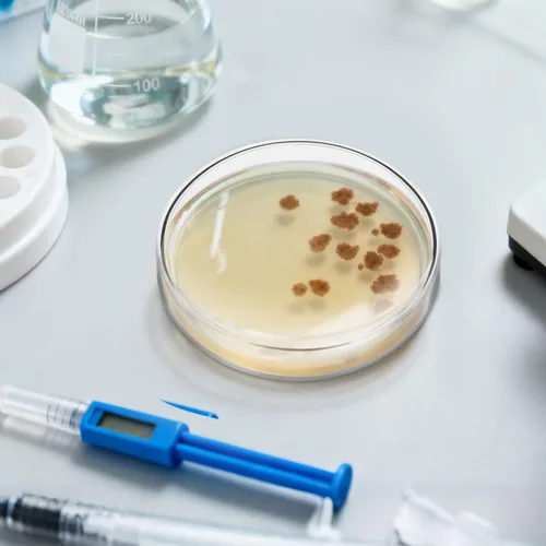Vista 8 de Generic Placas de agar prevertidas, placas de agar nutrientes, placas de Petri con suministros de experimentos científicos para uso en el aula