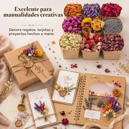 Vista 7 de Sukh Kit de hierbas secas – Botánicos secos a granel, 9 bolsas de flores secas naturales y hierbas para jabón, vela, perfume, bombas de baño